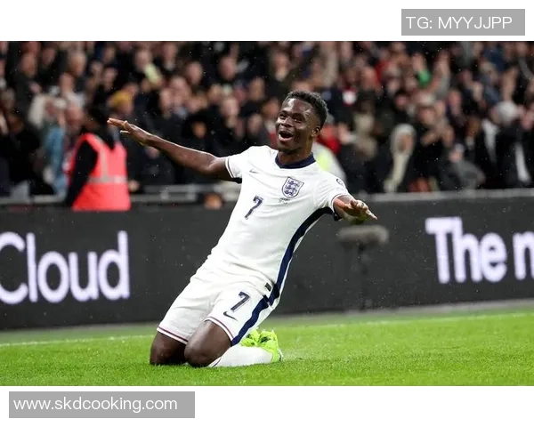 塞尔维亚历史最佳足球球星综合实力排名与辉煌成就盘点