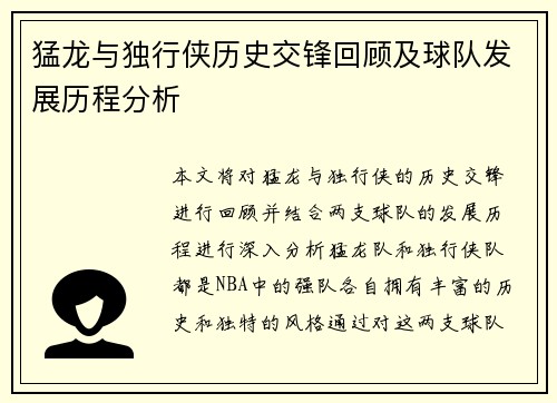 猛龙与独行侠历史交锋回顾及球队发展历程分析