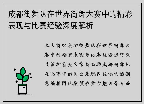 成都街舞队在世界街舞大赛中的精彩表现与比赛经验深度解析