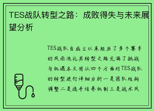 TES战队转型之路：成败得失与未来展望分析