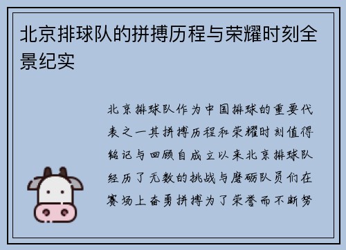 北京排球队的拼搏历程与荣耀时刻全景纪实